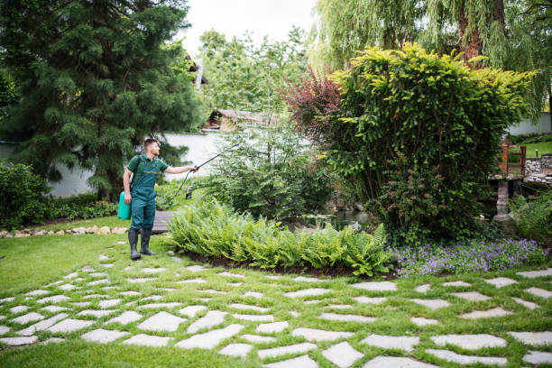 Best Exterminator Services  in Sand Point, AK