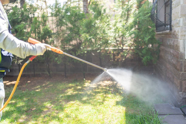 Best Pest Control for Homes  in Sand Point, AK